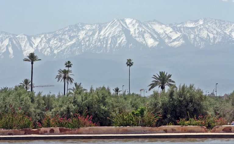 PHOTO-2023-09-02-16-39-09 2