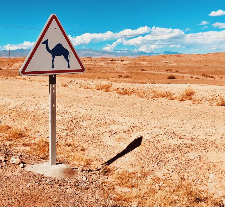 PHOTO-2023-09-02-16-39-10 2