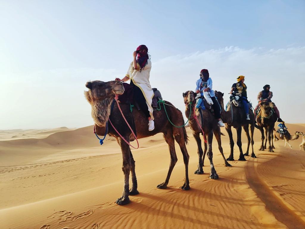 PHOTO-2023-09-05-00-10-34