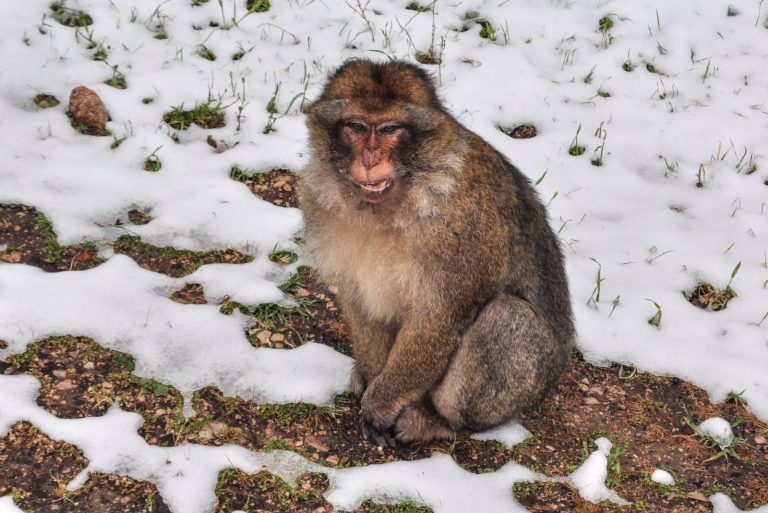 PHOTO-2023-09-05-00-57-18